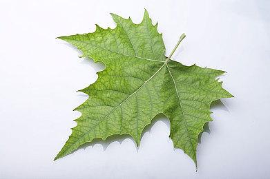 KK官方对战平台《圣剑酒馆2》在玩一种很新的赏金赛！